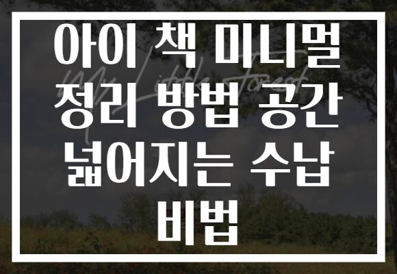 아이 책 미니멀 정리 방법 공간 넓어지는 수납 비법