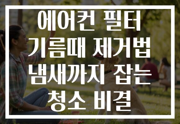 에어컨 필터 기름때 제거법 냄새까지 잡는 청소 비결