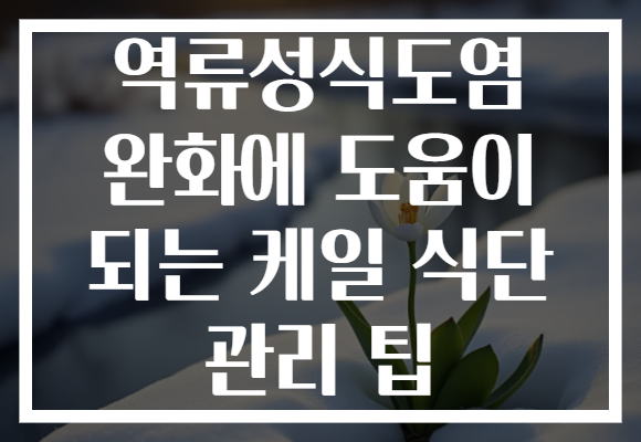 역류성식도염 완화에 도움이 되는 케일 식단 관리 팁