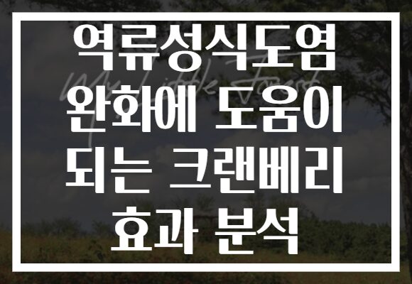 역류성식도염 완화에 도움이 되는 크랜베리 효과 분석