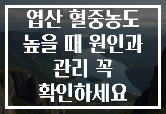 엽산 혈중농도 높을 때 원인과 관리 꼭 확인하세요