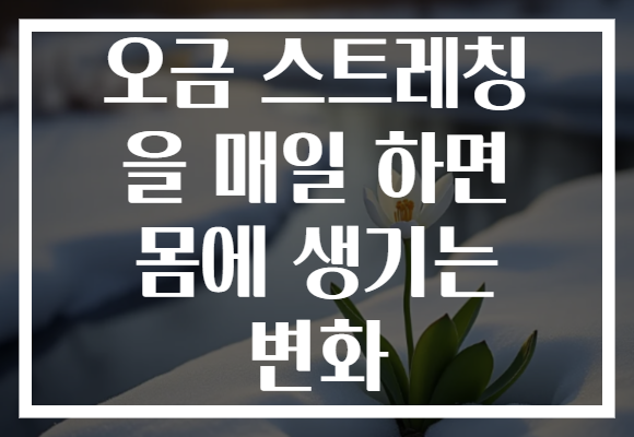오금 스트레칭 을 매일 하면 몸에 생기는 변화