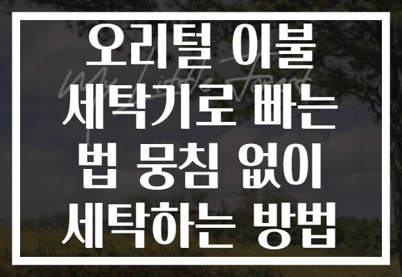오리털 이불 세탁기로 빠는 법 뭉침 없이 세탁하는 방법