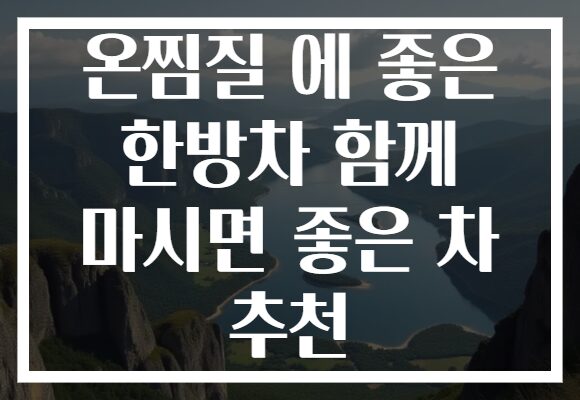 온찜질 에 좋은 한방차 함께 마시면 좋은 차 추천