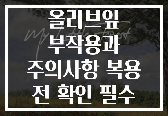 올리브잎 부작용과 주의사항 복용 전 확인 필수