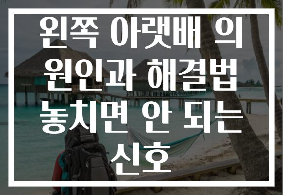왼쪽 아랫배 의 원인과 해결법 놓치면 안 되는 신호