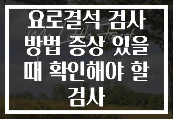 요로결석 검사 방법 증상 있을 때 확인해야 할 검사
