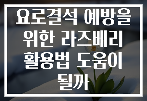 요로결석 예방을 위한 라즈베리 활용법 도움이 될까