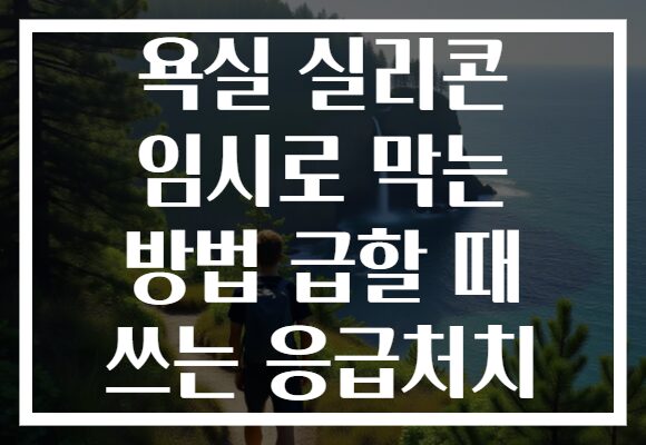 욕실 실리콘 임시로 막는 방법 급할 때 쓰는 응급처치