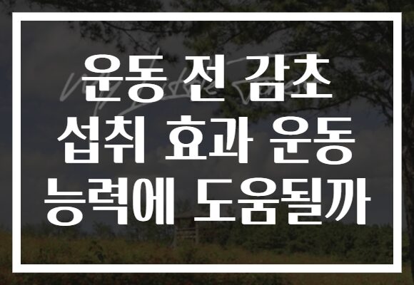 운동 전 감초 섭취 효과 운동 능력에 도움될까