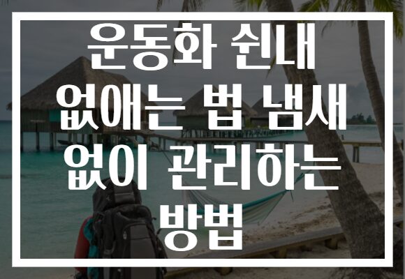 운동화 쉰내 없애는 법 냄새 없이 관리하는 방법