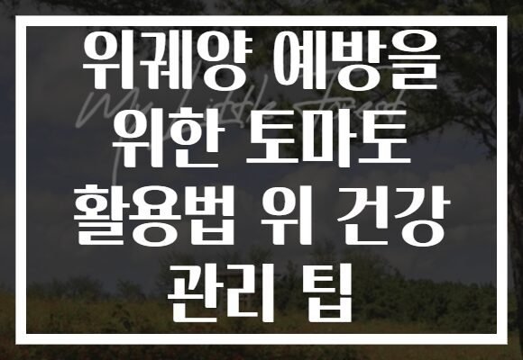 위궤양 예방을 위한 토마토 활용법 위 건강 관리 팁