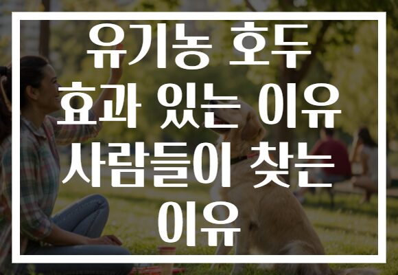 유기농 호두 효과 있는 이유 사람들이 찾는 이유