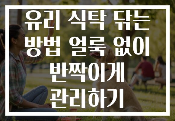 유리 식탁 닦는 방법 얼룩 없이 반짝이게 관리하기