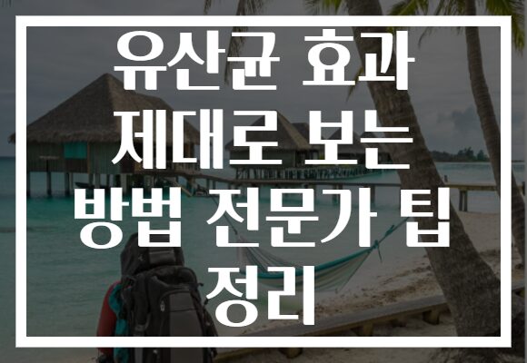 유산균 효과 제대로 보는 방법 전문가 팁 정리