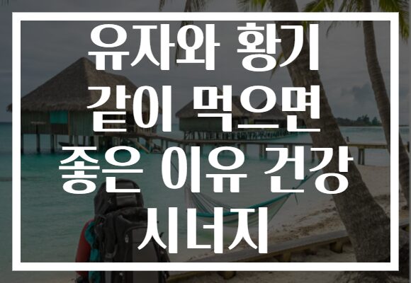 유자와 황기 같이 먹으면 좋은 이유 건강 시너지