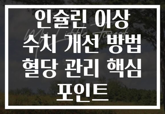 인슐린 이상 수치 개선 방법 혈당 관리 핵심 포인트