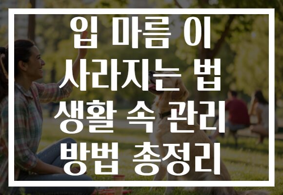 입 마름 이 사라지는 법 생활 속 관리 방법 총정리