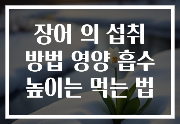 장어 의 섭취 방법 영양 흡수 높이는 먹는 법