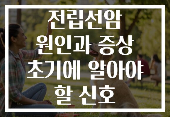 전립선암 원인과 증상 초기에 알아야 할 신호