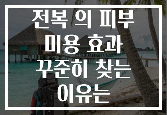 전복 의 피부 미용 효과 꾸준히 찾는 이유는