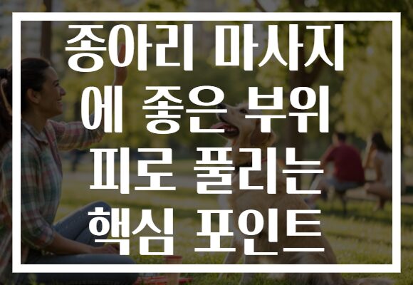 종아리 마사지 에 좋은 부위 피로 풀리는 핵심 포인트