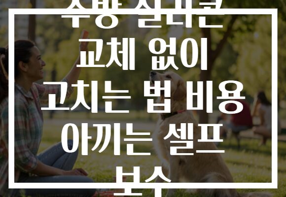 주방 실리콘 교체 없이 고치는 법 비용 아끼는 셀프 보수