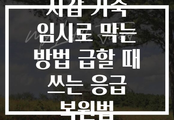 지갑 가죽 임시로 막는 방법 급할 때 쓰는 응급 복원법