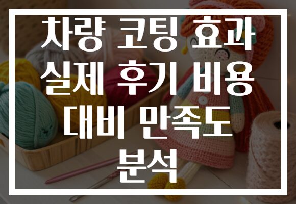 차량 코팅 효과 실제 후기 비용 대비 만족도 분석