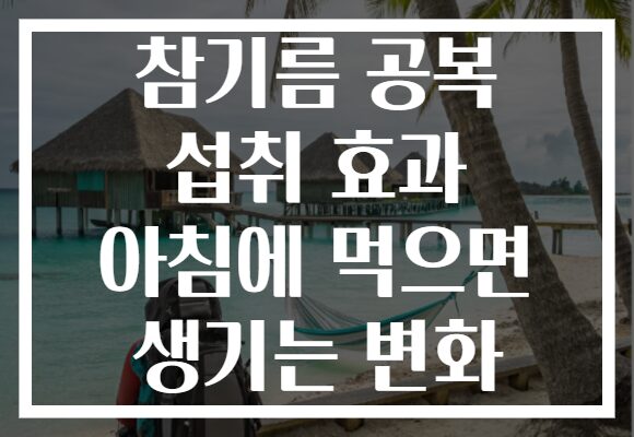 참기름 공복 섭취 효과 아침에 먹으면 생기는 변화