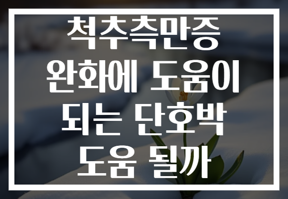 척추측만증 완화에 도움이 되는 단호박 도움 될까