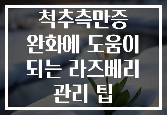 척추측만증 완화에 도움이 되는 라즈베리 관리 팁
