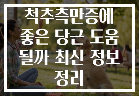 척추측만증에 좋은 당근 도움 될까 최신 정보 정리