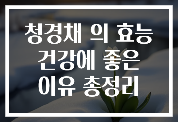 청경채 의 효능 건강에 좋은 이유 총정리