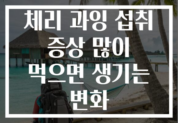 체리 과잉 섭취 증상 많이 먹으면 생기는 변화