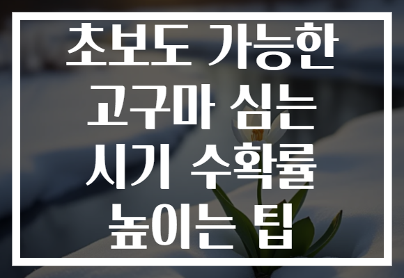 초보도 가능한 고구마 심는 시기 수확률 높이는 팁