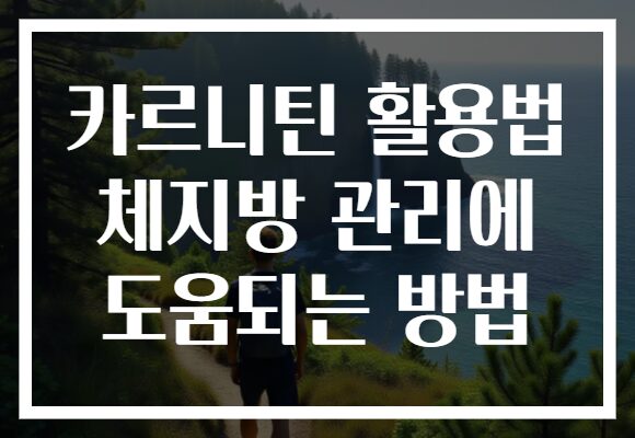 카르니틴 활용법 체지방 관리에 도움되는 방법