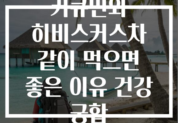 커큐민와 히비스커스차 같이 먹으면 좋은 이유 건강 궁합