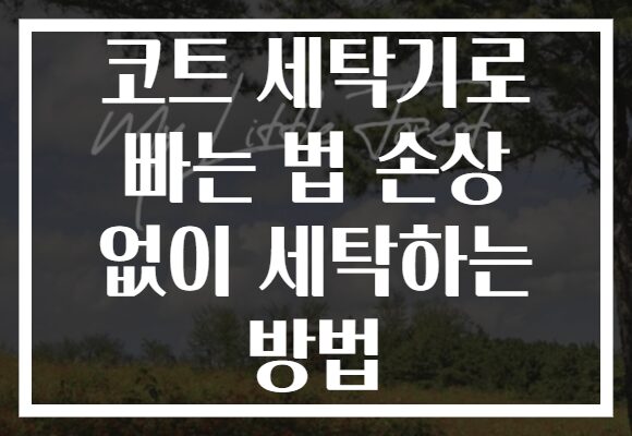 코트 세탁기로 빠는 법 손상 없이 세탁하는 방법
