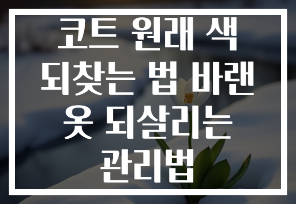 코트 원래 색 되찾는 법 바랜 옷 되살리는 관리법