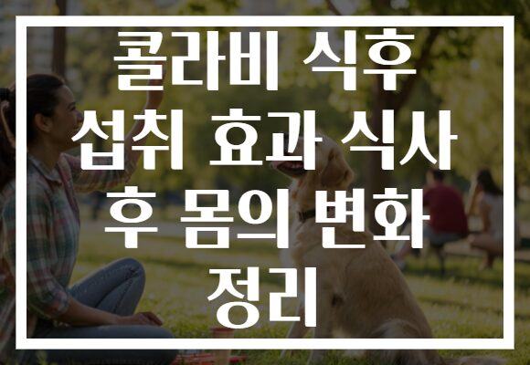콜라비 식후 섭취 효과 식사 후 몸의 변화 정리
