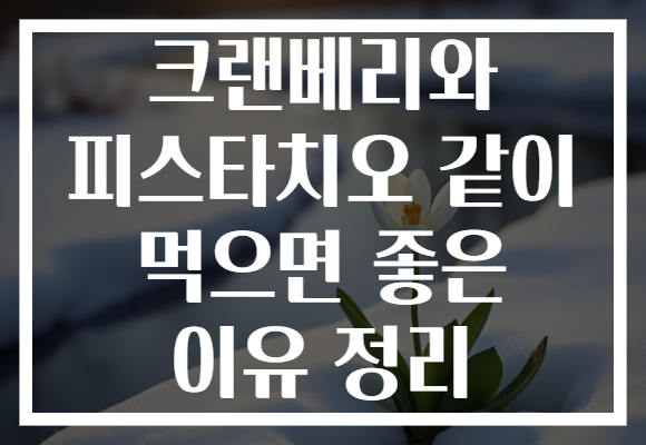 크랜베리와 피스타치오 같이 먹으면 좋은 이유 정리