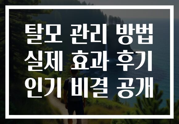 탈모 관리 방법 실제 효과 후기 인기 비결 공개