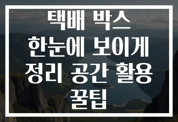 택배 박스 한눈에 보이게 정리 공간 활용 꿀팁