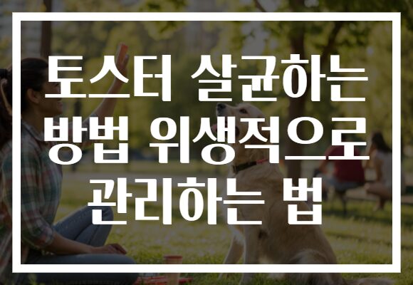 토스터 살균하는 방법 위생적으로 관리하는 법