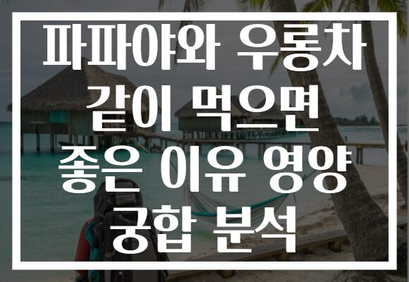 파파야와 우롱차 같이 먹으면 좋은 이유 영양 궁합 분석