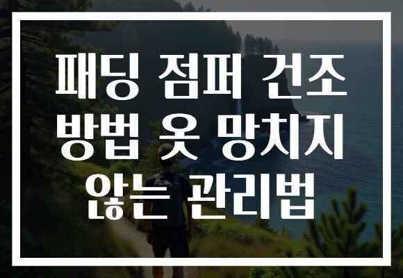 패딩 점퍼 건조 방법 옷 망치지 않는 관리법