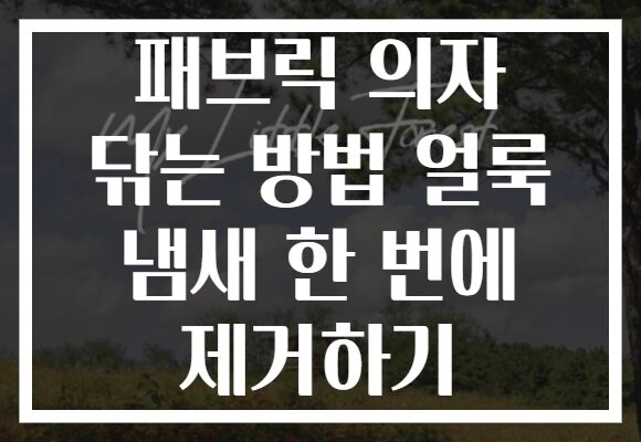 패브릭 의자 닦는 방법 얼룩 냄새 한 번에 제거하기