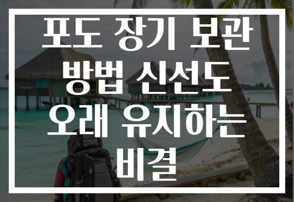 포도 장기 보관 방법 신선도 오래 유지하는 비결