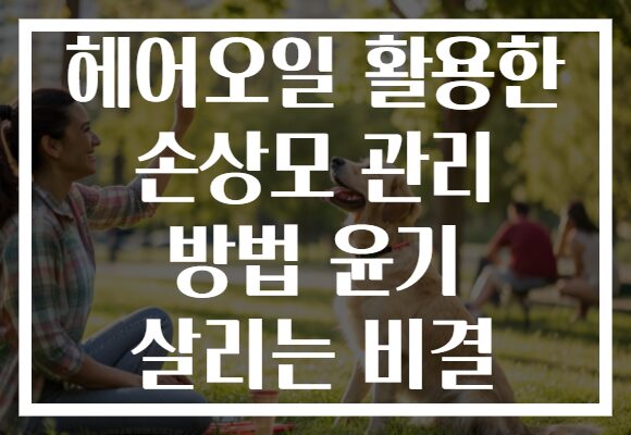 헤어오일 활용한 손상모 관리 방법 윤기 살리는 비결